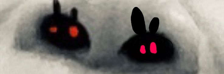 kikkitoshingo's profile banner image