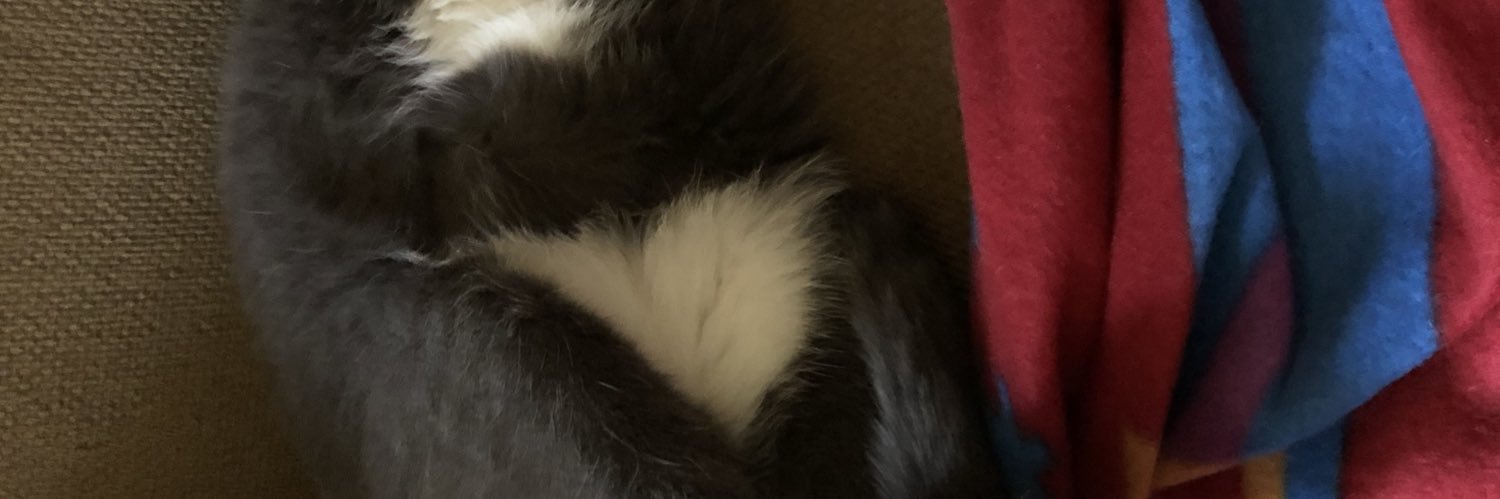 jeanamshea's profile banner image