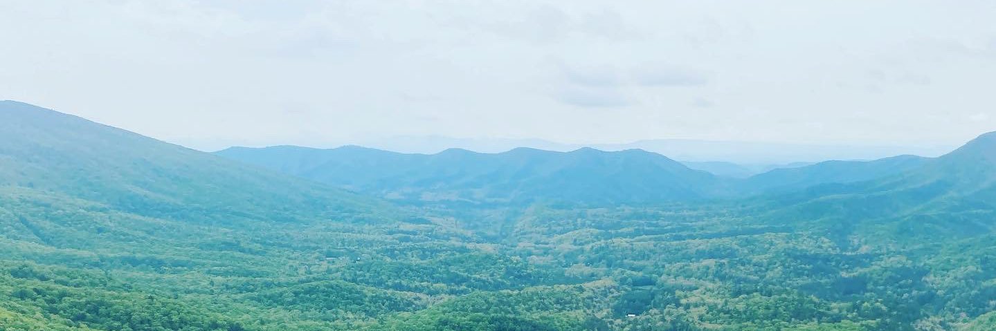 Donovan Irven banner