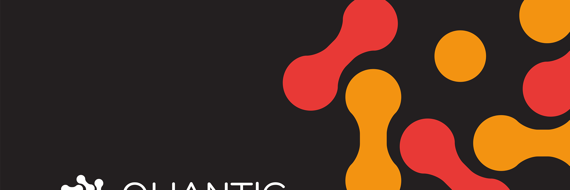 Quantic Foundry banner