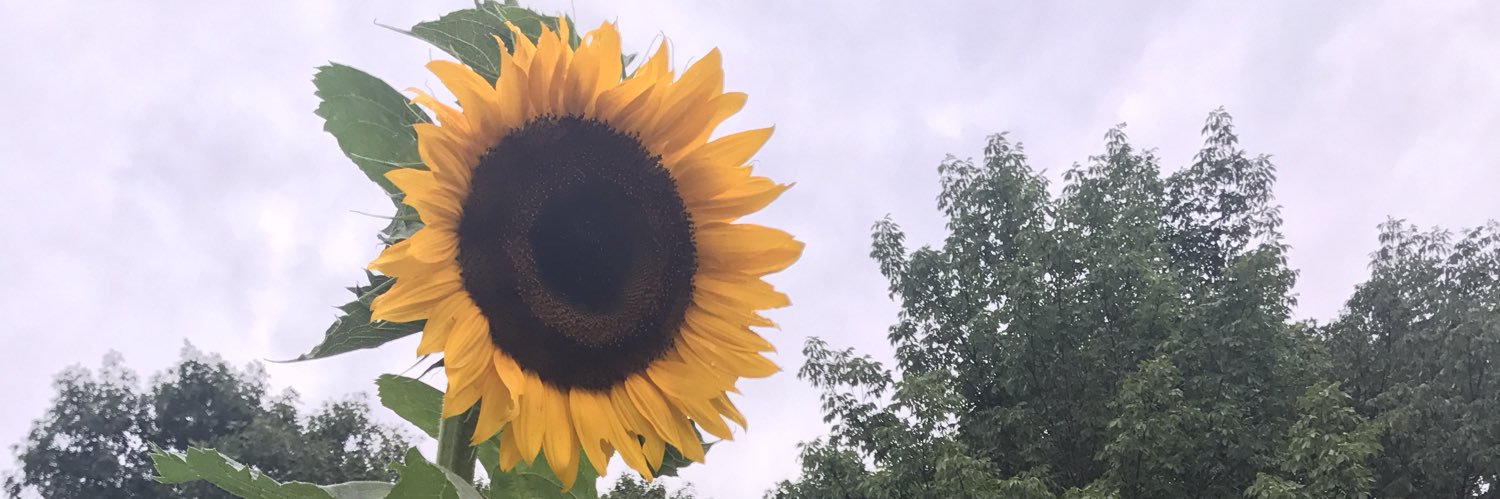 AmandaCallyah's profile banner image