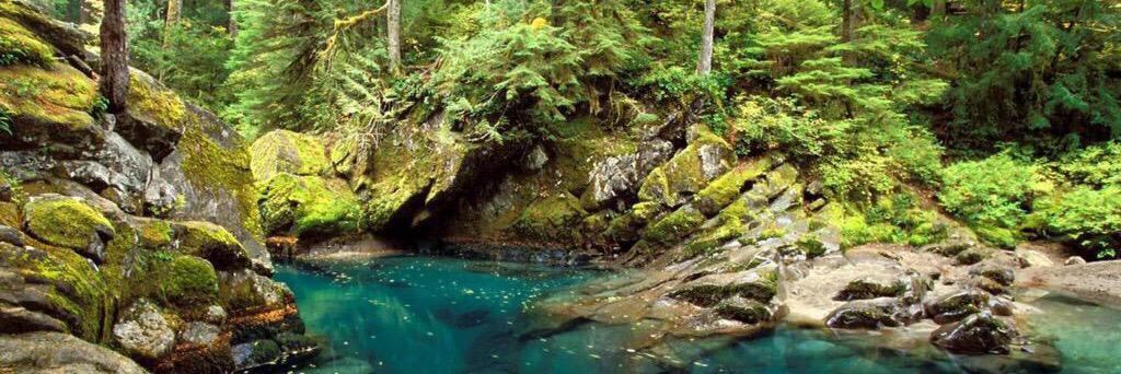 earthyphotos's profile banner image