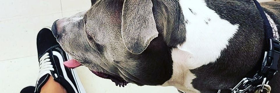 _ReedMe's profile banner image