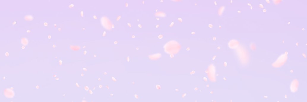 きのこ banner
