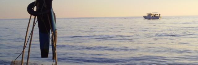 Nieri banner