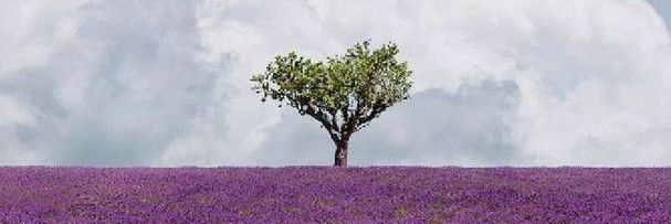 Pak_Pratana's profile banner image
