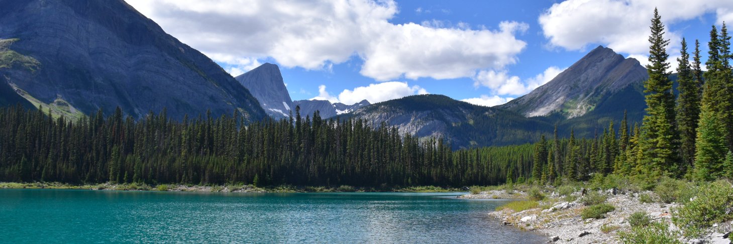 Anna-Maria Hubert banner