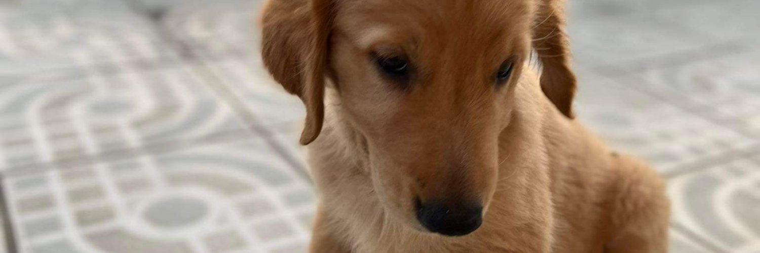 rensyyyyyyy's profile banner image