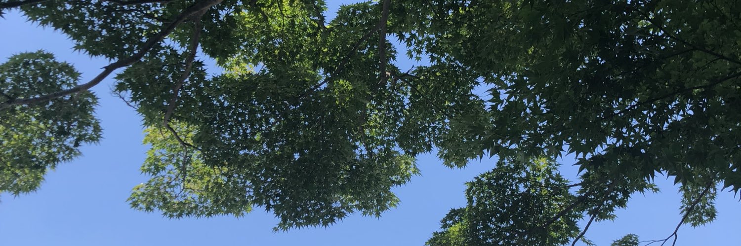 mdfactoryhs's profile banner image