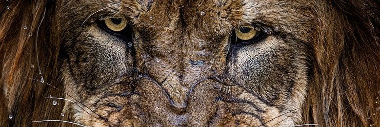 jtrain47's profile banner image