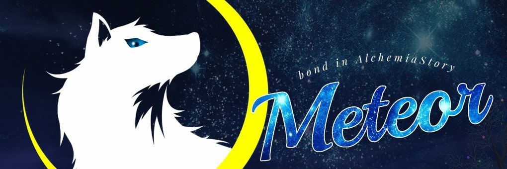 クロ₍˄·͈༝·͈˄₎◞ ̑̑◞ ̑̑ banner