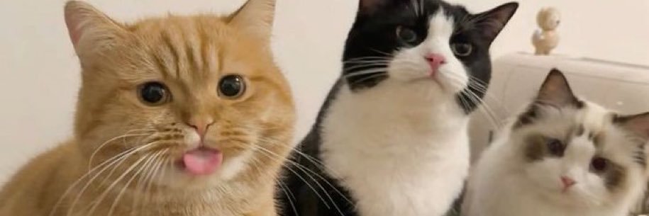noconclusion_'s profile banner image