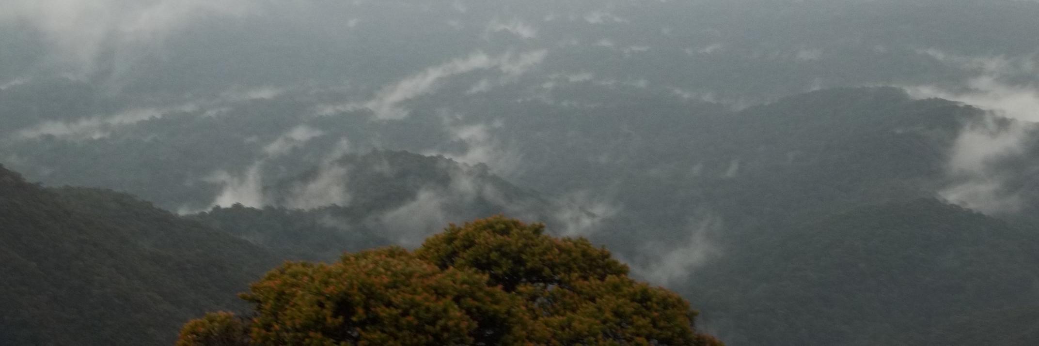 Mega_Amey2's profile banner image