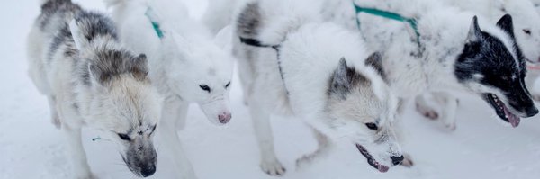 Tim848 Profile Banner