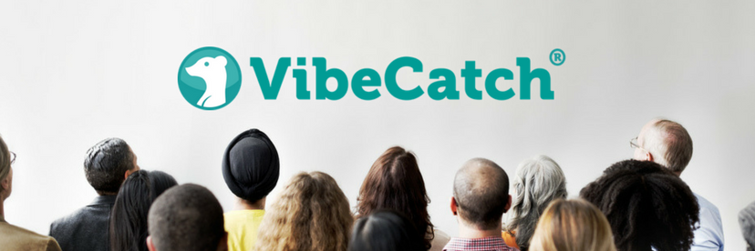 VibeCatch's profile banner image