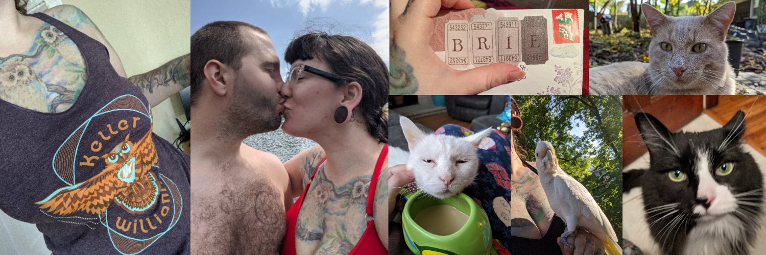 brienethecheese's profile banner image