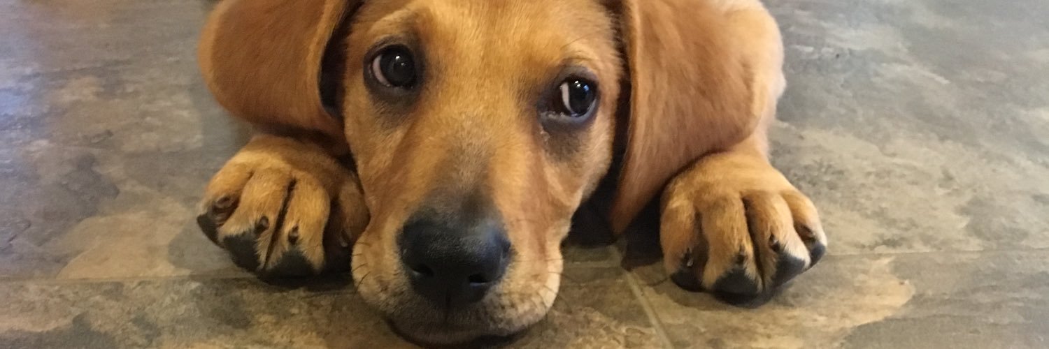 taylorfuegner's profile banner image