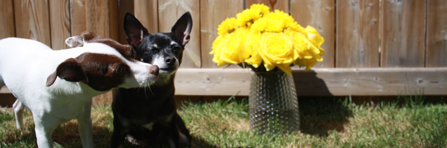 jessicamalan's profile banner image