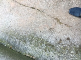 RobertsEirug's profile banner image