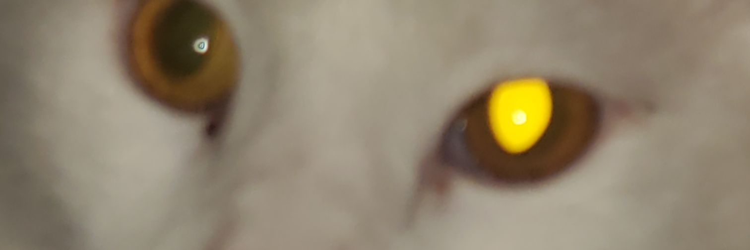 zerealgio's profile banner image
