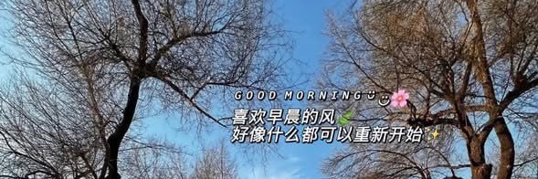 淡淡的忧伤 banner