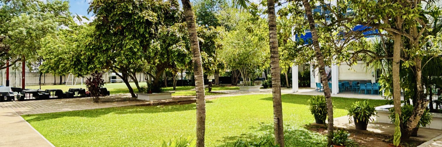 Dr. Martin Thomas banner