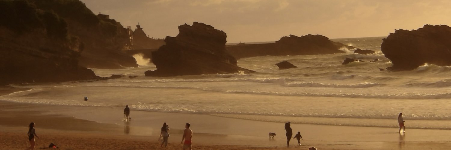 laurinervl's profile banner image