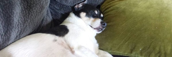 SICCMADE425 Profile Banner