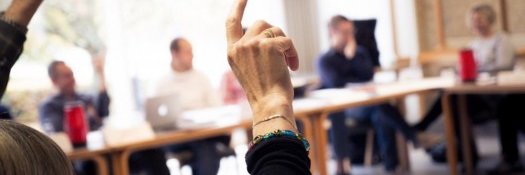 Gitte Wichmann-Hansen banner