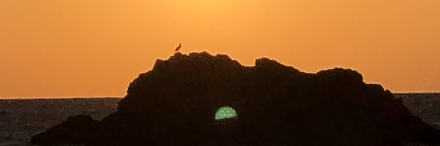 goarez44's profile banner image