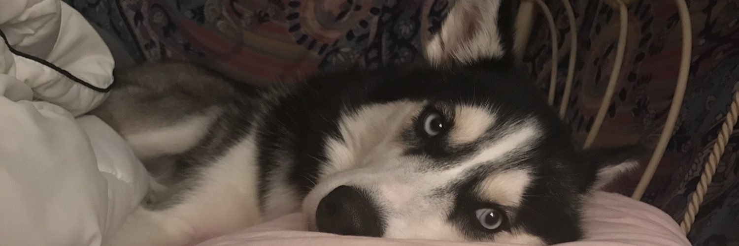 KaitlynM17's profile banner image