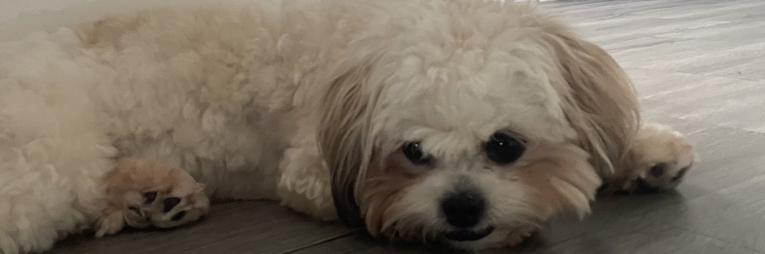 CallMeSheeky's profile banner image