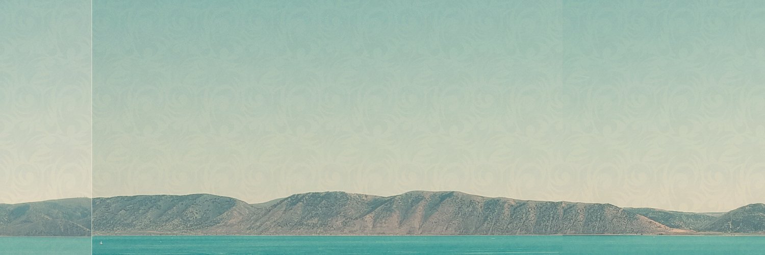 drew davidson banner