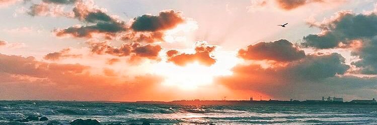 ebrucetinel's profile banner image