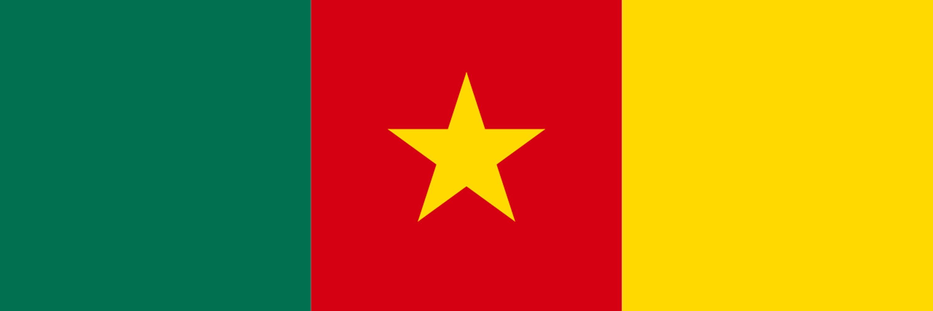 Cameroon Embassy BE banner