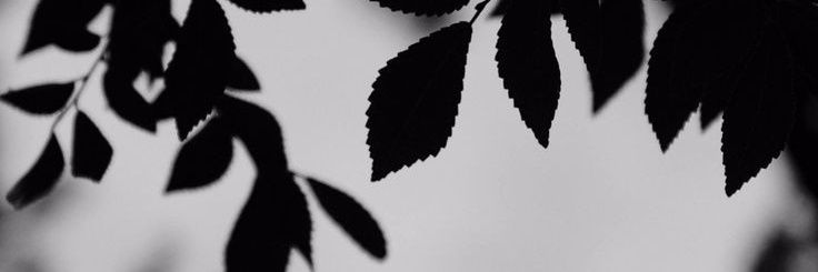 Paraspatel073's profile banner image