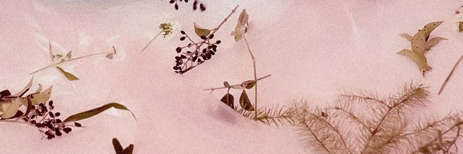 maxine (taylor’s version) banner