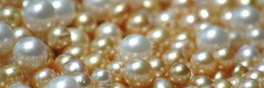 Lelleyz's profile banner image
