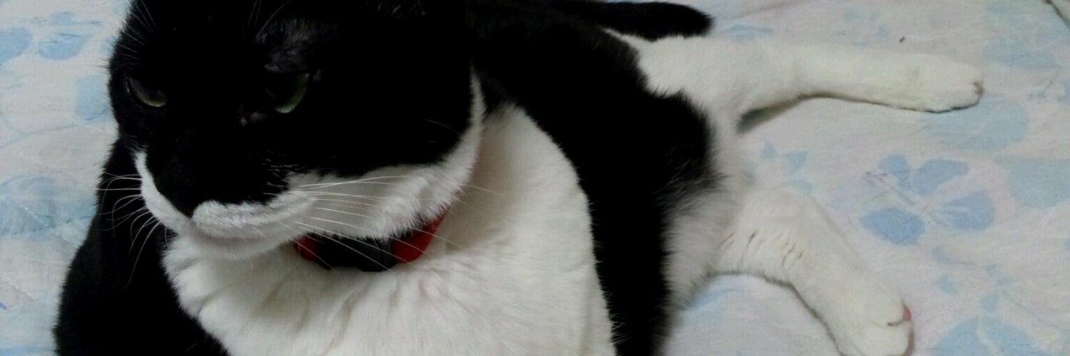 LYNER13's profile banner image