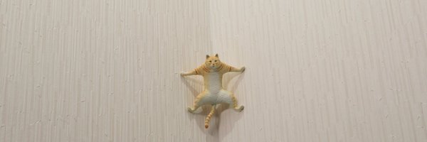 meetissai Profile Banner