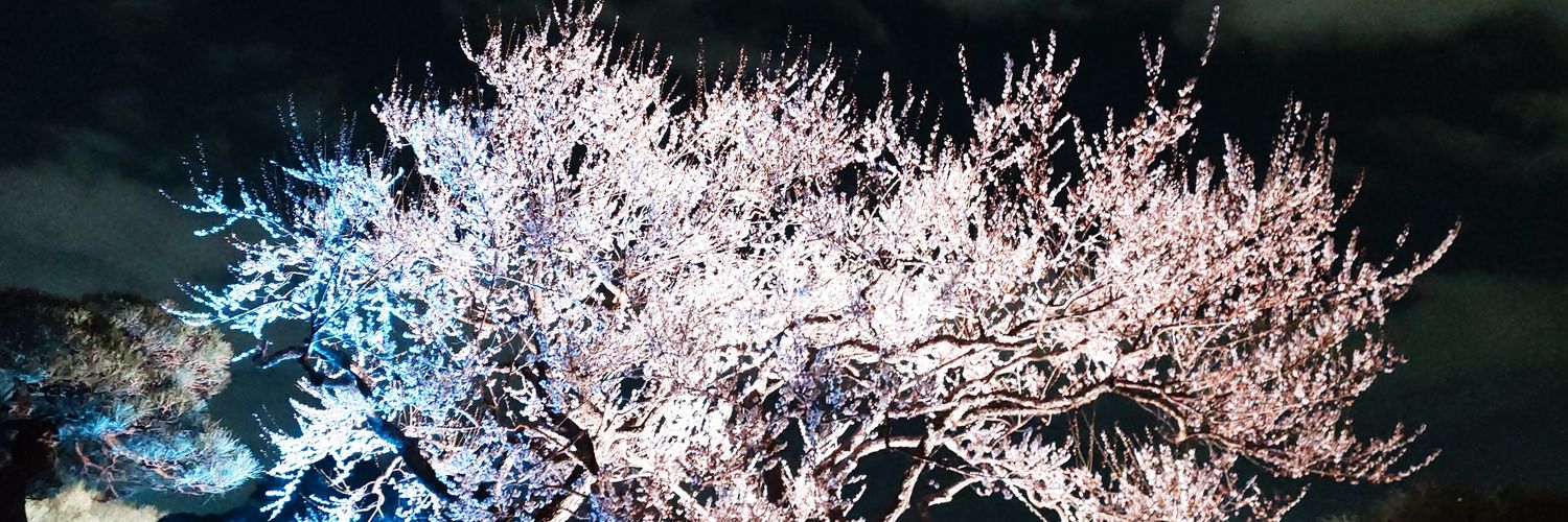 ケンミ フジテリアパーク2026 4/12　ザ・ヒロサワ・シティ会館で会う事を約束しよう🎶 banner