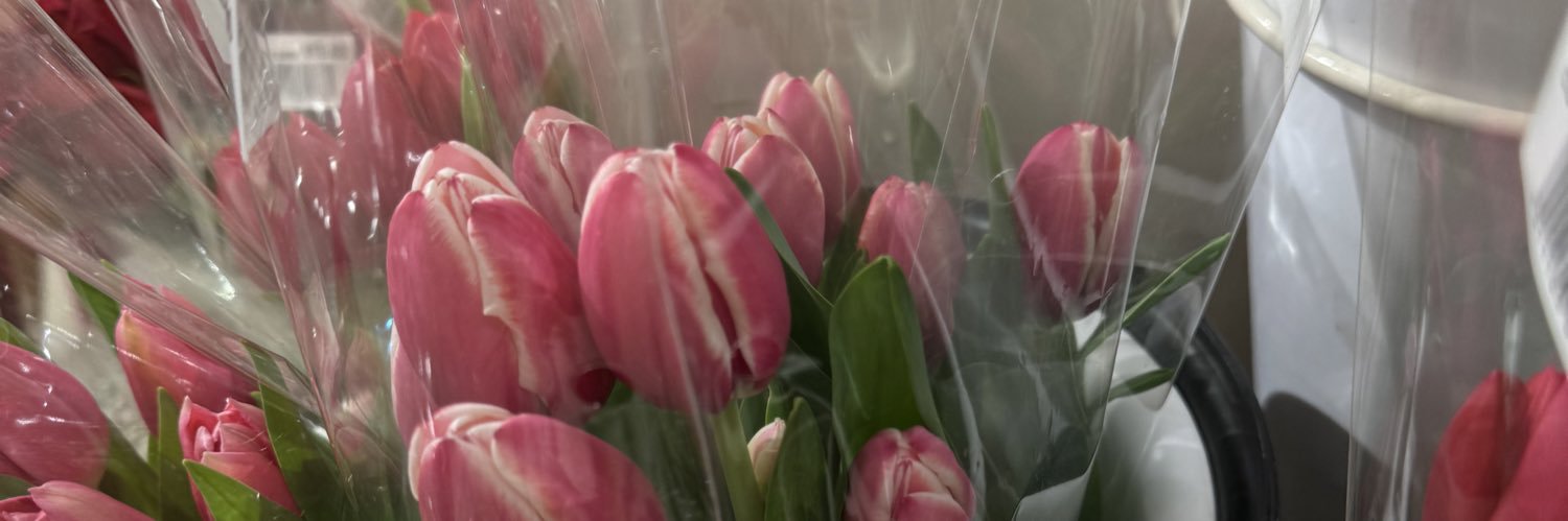 appilala's profile banner image