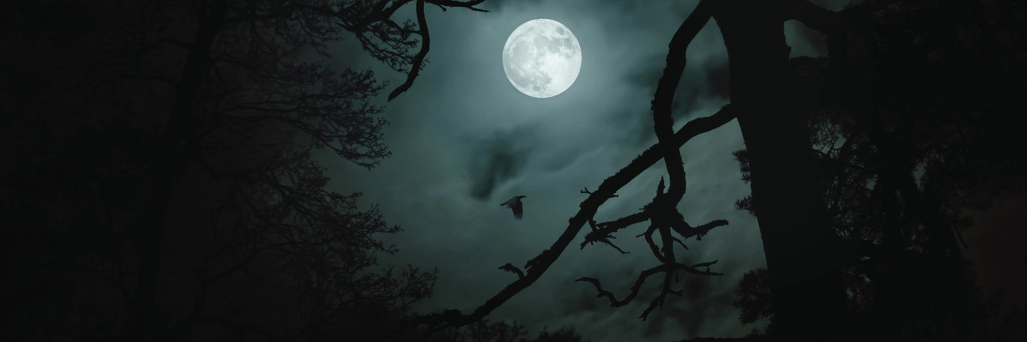 AlJabbarullah's profile banner image
