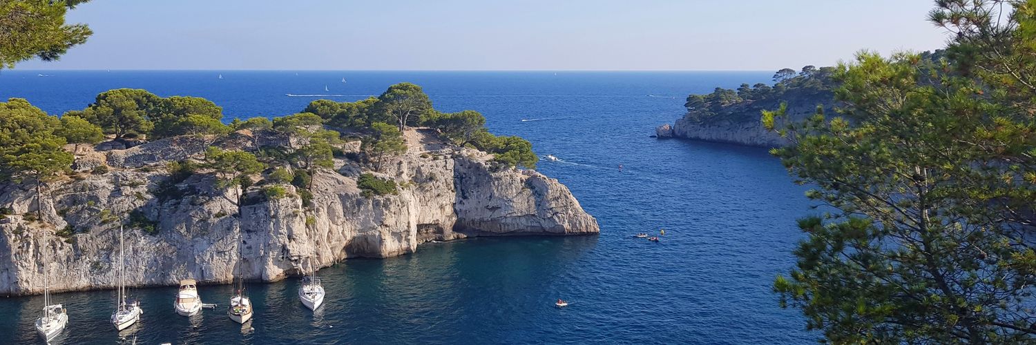 Ralph Hurley O'Dwyer banner