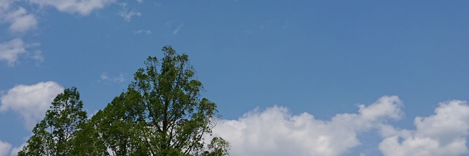 __mimic_'s profile banner image