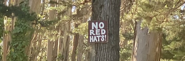 MasterTeezy Profile Banner