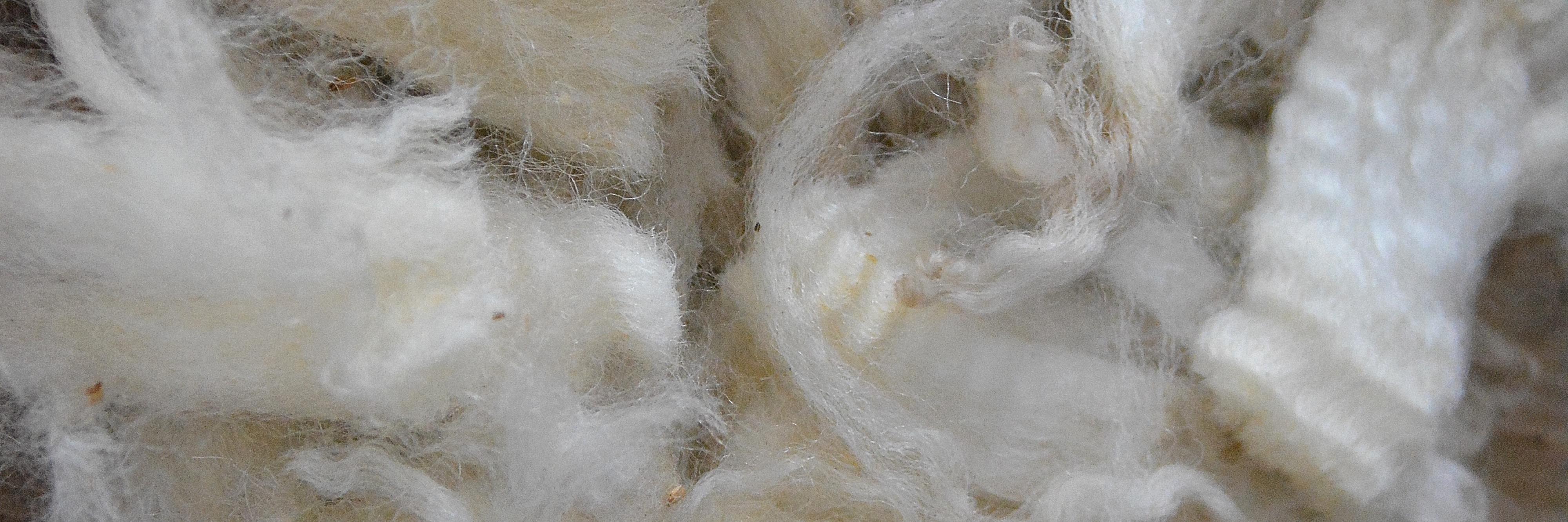 NZ Wool Story banner