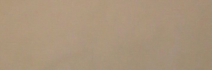 LabeshShrestha's profile banner image