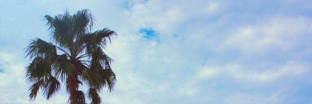 ___winer___'s profile banner image