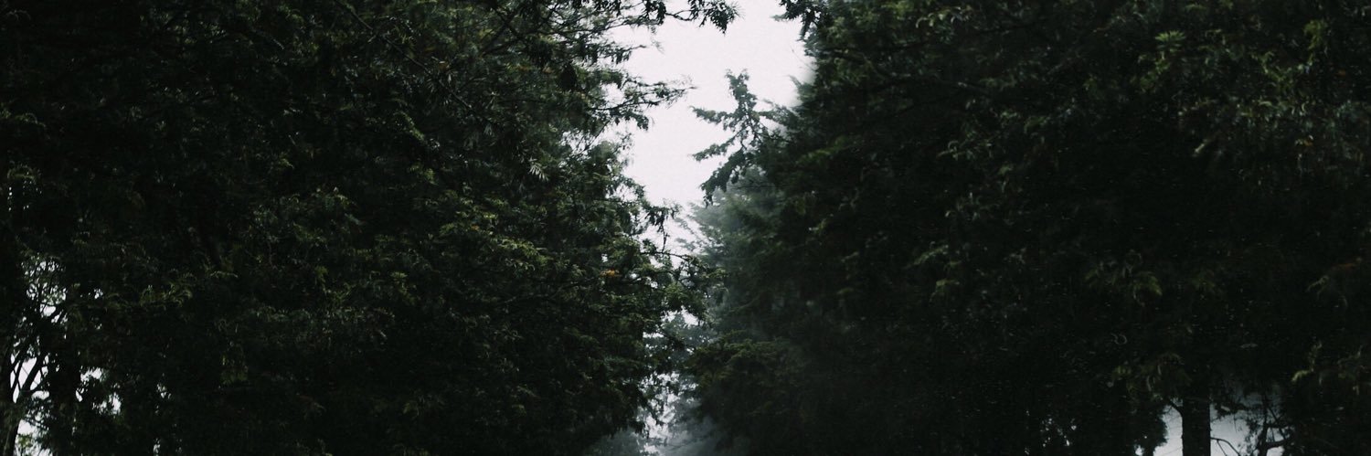 adane_firde's profile banner image